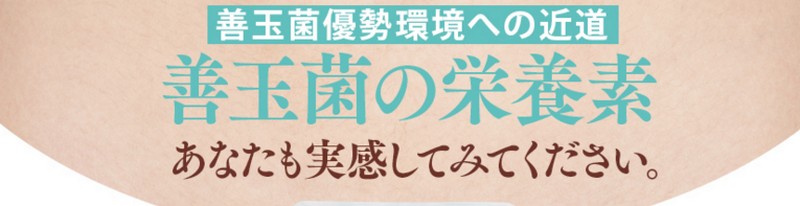 �������T�v���V�R���ʏ��T�C�g